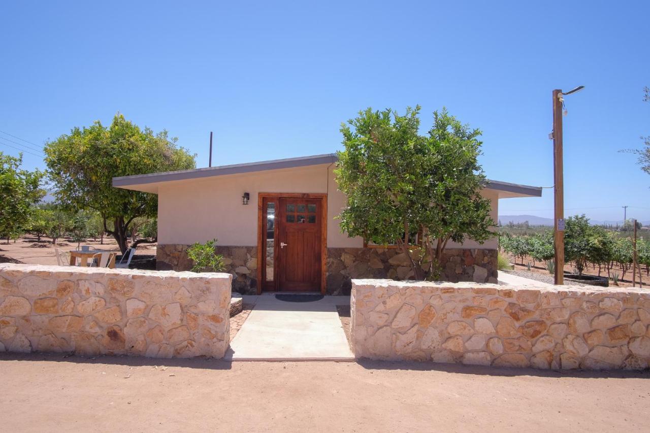 Quinta Monasterio Panzió Valle de Guadalupe Kültér fotó